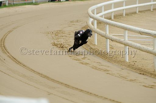 john_02.jpg - (C)S.FARNDON