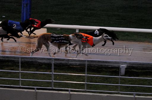 284hallgreen012.JPG - (C)S.FARNDON