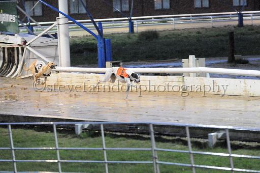 284hallgreen023.JPG - (C)S.FARNDON