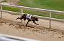 peterboro_017