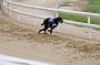 peterboro_036
