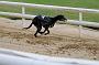 peterboro_119