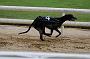 peterboro_120