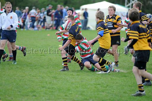 cody006.JPG - (C)S.FARNDON