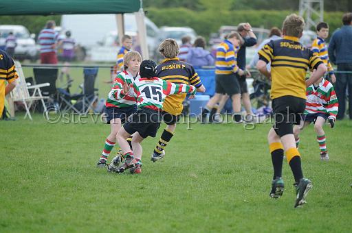 cody014.JPG - (C)S.FARNDON