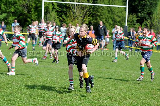 cody052.JPG - (C)S.FARNDON