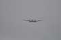 brandon1aug_0255
