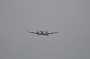 brandon1aug_0257