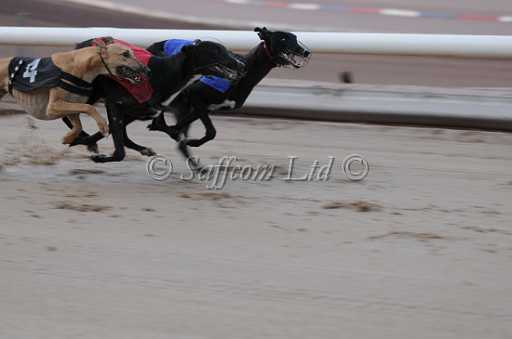 dogs22aug_0012.jpg