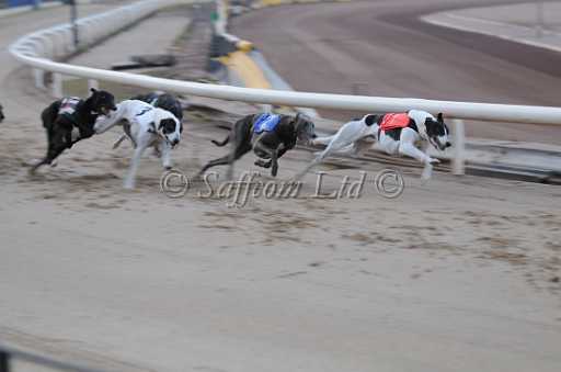 dogs22aug_0019.jpg