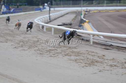 dogs22aug_0025.jpg