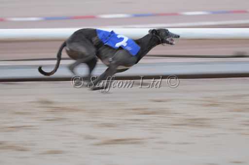 dogs22aug_0030.jpg