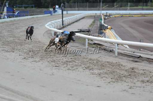 dogs22aug_0040.jpg