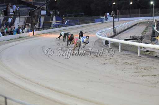dogs22aug_0057.jpg