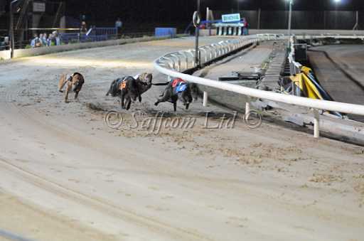dogs22aug_0117.jpg