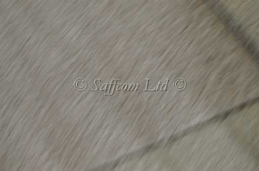 dogs22aug_0131.jpg