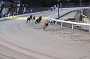dogs22aug_0058
