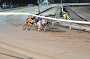 dogs22aug_0069