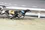 dogs22aug_0121