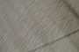 dogs22aug_0131