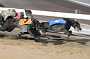 dogs22aug_0132