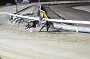 dogs22aug_0135