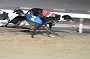 dogs22aug_0147