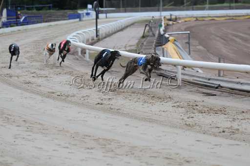 dogs23aug_0014.jpg