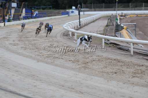 dogs23aug_0047.jpg