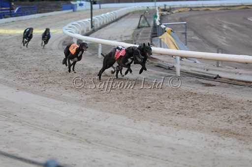 dogs23aug_0068.jpg