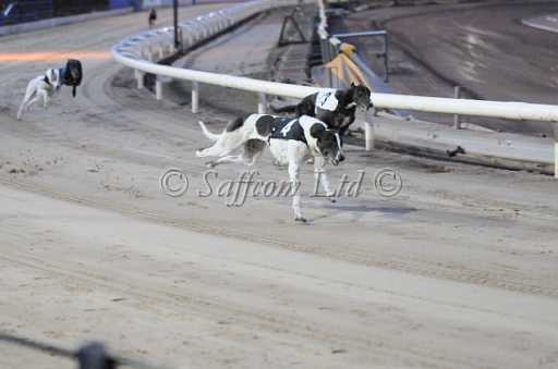 dogs23aug_0076.jpg