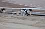 dogs23aug_0043