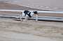 dogs23aug_0050