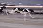 dogs23aug_0078