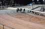 dogs23aug_0102