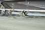 dogs23aug_0115
