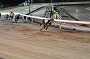 dogs23aug_0123