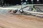 dogs23aug_0130