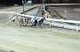 dogs23aug_0131