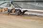 dogs23aug_0132
