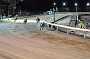 dogs23aug_0135
