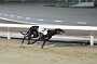 dogs23aug_0139