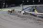 dogs23aug_0165