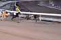 dogs23aug_0175