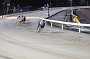 dogs23aug_0180