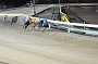 dogs23aug_0195