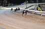 dogs23aug_0212