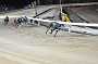 dogs23aug_0213