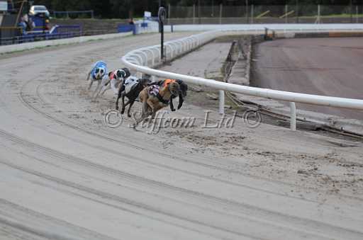 dogs29aug_0009.jpg