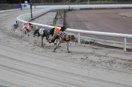 dogs29aug_0010.jpg